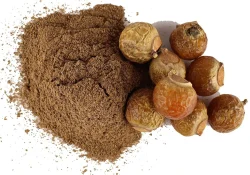 रीठा Sapindus trifolialus (Linn)